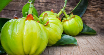 Der natürliche Fettverbrenner Garcinia Cambogia